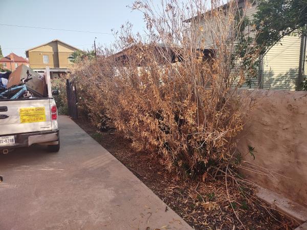 Dumpster Daddy Junk Removal