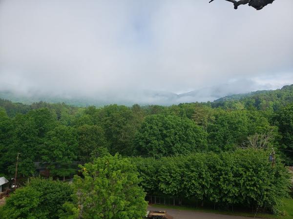 Pisgah Tree Care