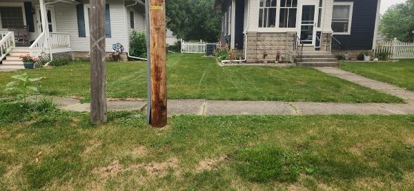 Renegade Tree Services LLC