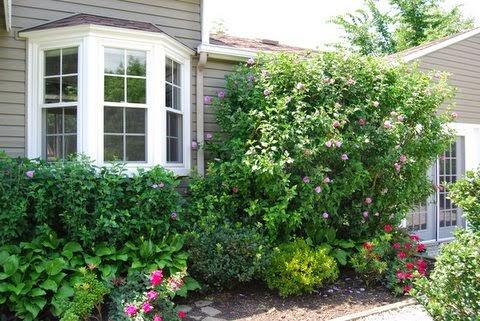 Cuyahoga Falls Windows Inc.