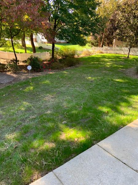 Triad Precision Landscaping