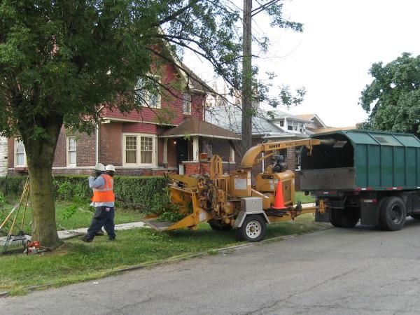 Avon Tree Service LLC