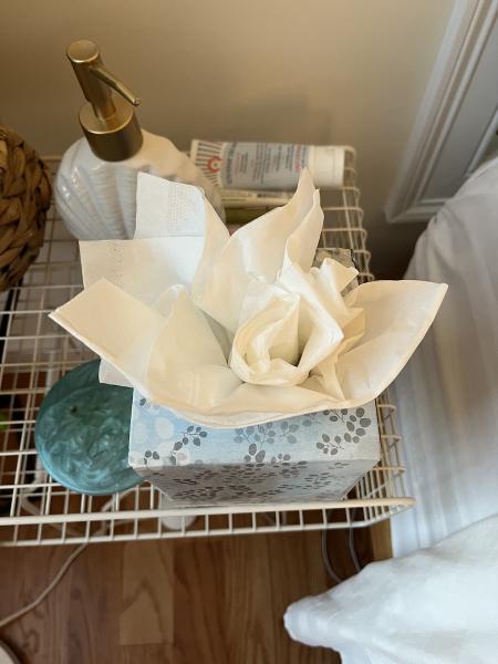 Deia Cleaning