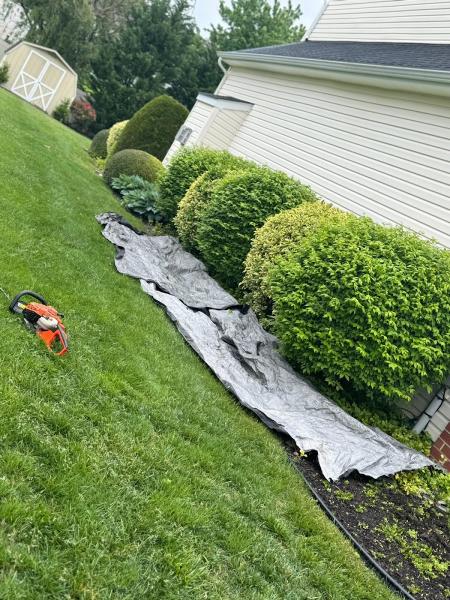 3 Js Lawn Maintenance