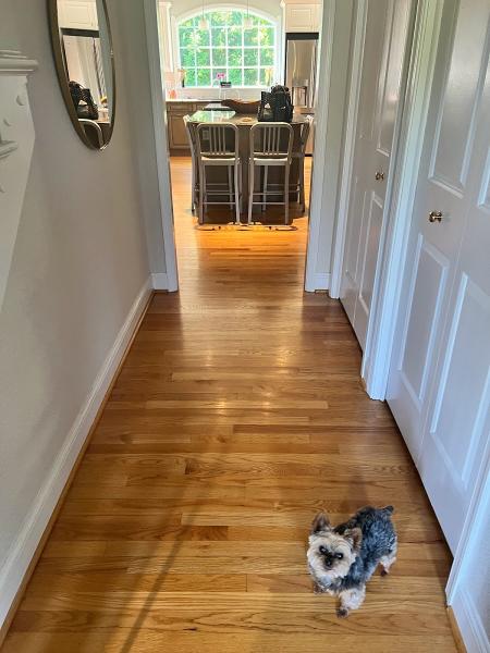 Skyline Custom Flooring