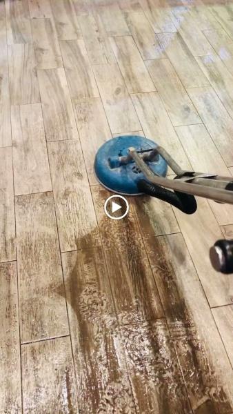 Bluecat Carpet Cleaning