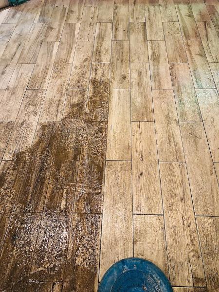 Bluecat Carpet Cleaning