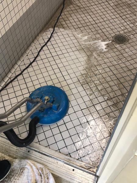 Bluecat Carpet Cleaning