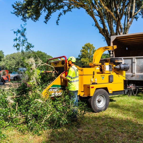 SAS Tree Service