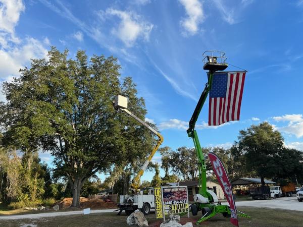 SAS Tree Service