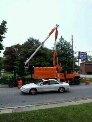 Popular Tree Services INC