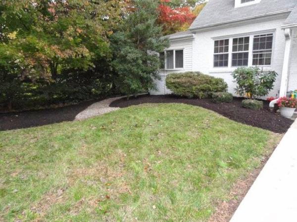 Popular Tree Services INC