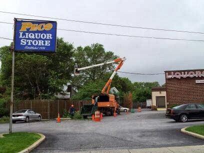 Popular Tree Services INC