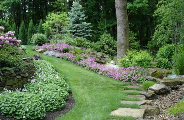 Lifestyle Landscaping