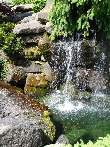 Lifestyle Landscaping