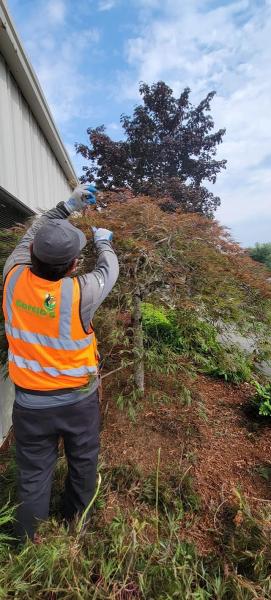 Garcia's Landscape Maintenance LLC