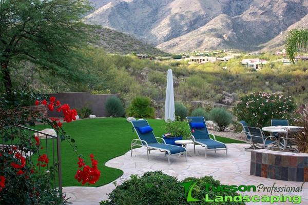 Tucson Professional Landscaping