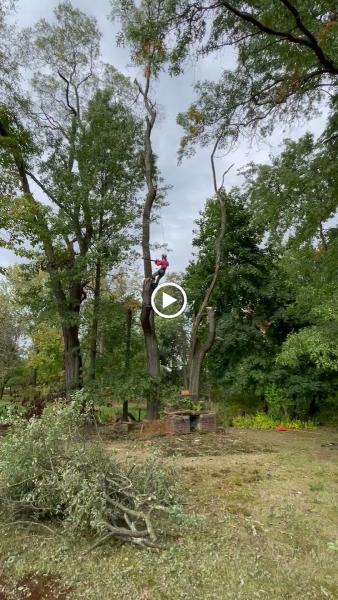 JDH Landscapes & Tree Services
