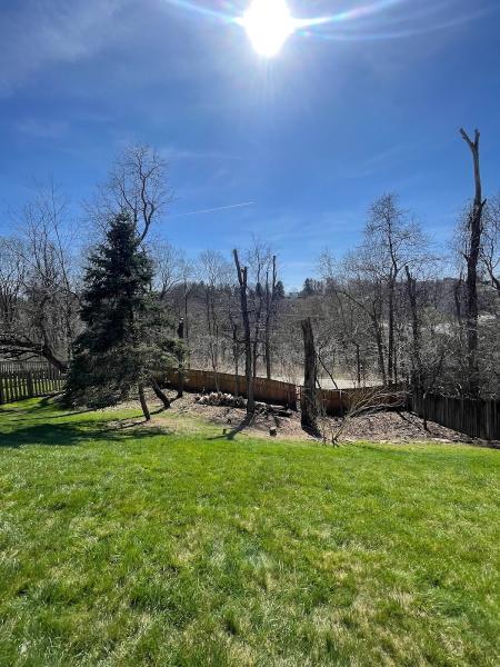 JDH Landscapes & Tree Services