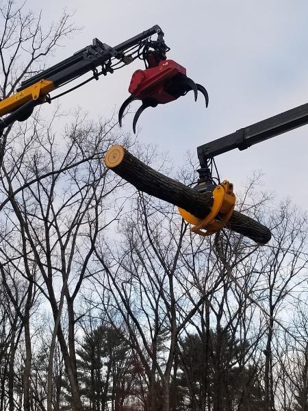 Clear Choice Tree Service