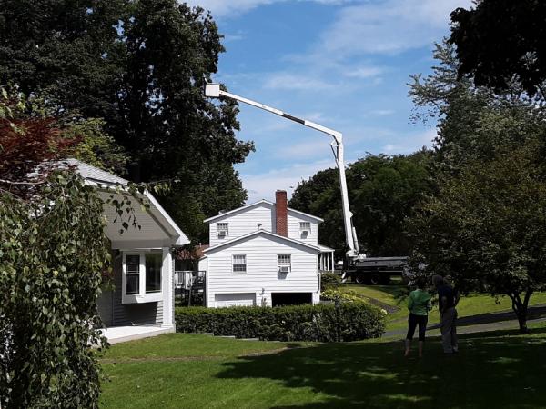 Clear Choice Tree Service
