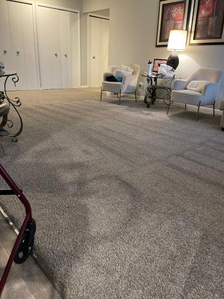 Miracle Suds Carpet & Upholstery Cleaning