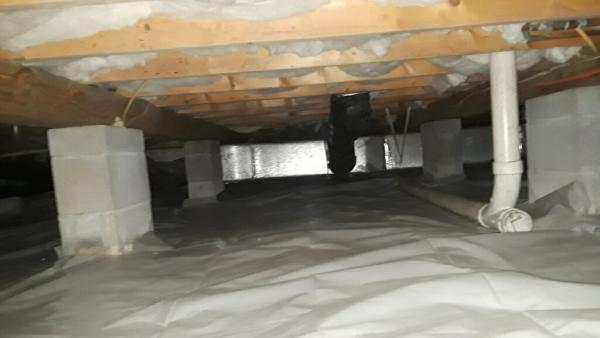 Eastern Pest Services