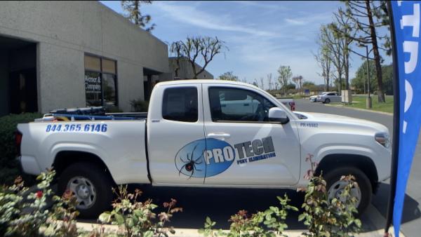Protech Termite and Pest Elimination