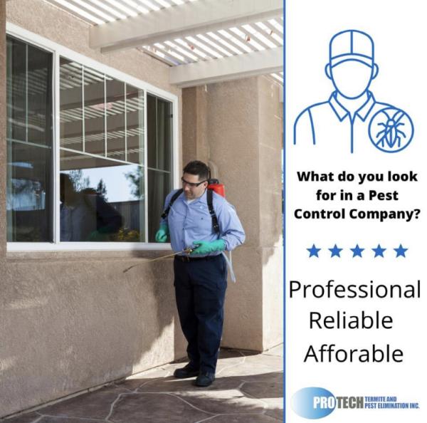 Protech Termite and Pest Elimination