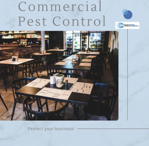 Protech Termite and Pest Elimination