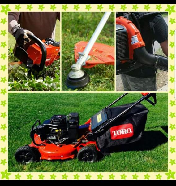 Quality Yard and Home Maintenance