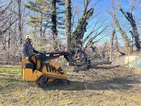 United 1 Tree Services & Landscaping