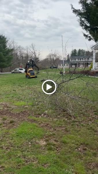 United 1 Tree Services & Landscaping