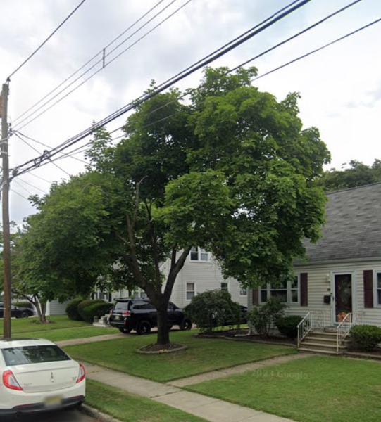 United 1 Tree Services & Landscaping