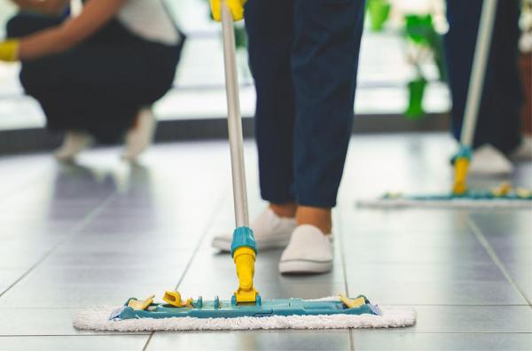 Superb Newton Carpet Care