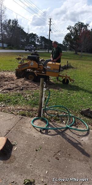 Jay Jay Tree Service