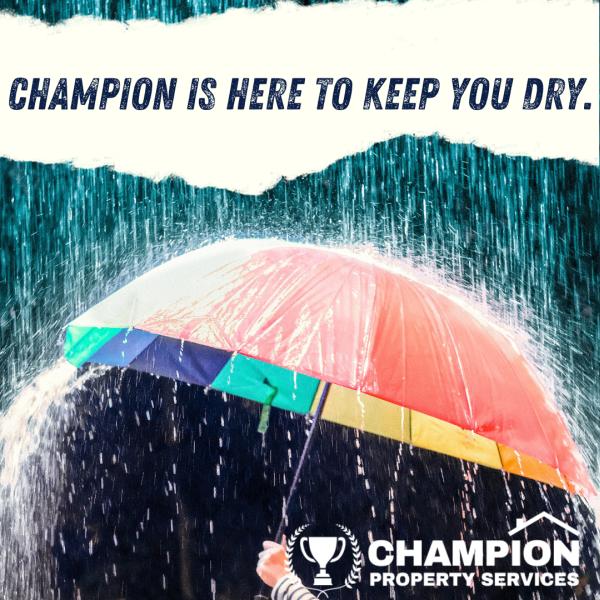 Champion Property Services