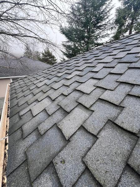 Roof Remedy