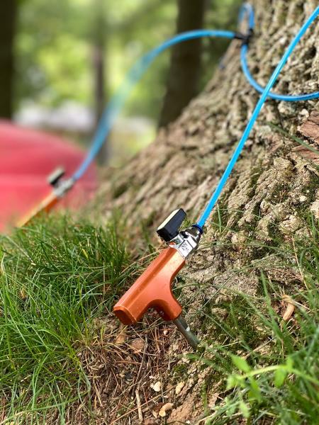 King Tree Specialists Inc