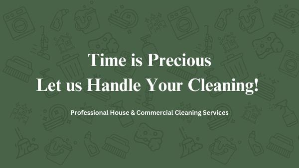 The Cleaners