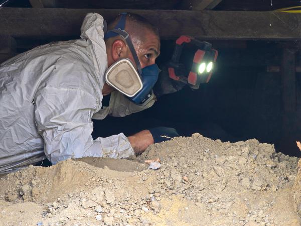 Strategic Inspection Professionals
