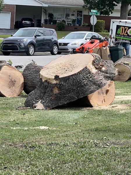 Drop Zone Tree Service and Landscaping LLC