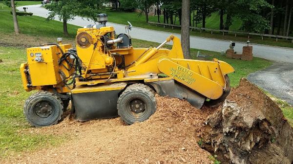 Economy Stump Grinding & Removal