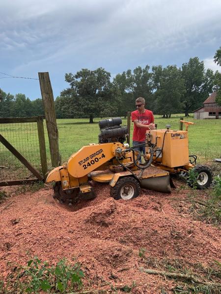 Tree Surgeons LLC