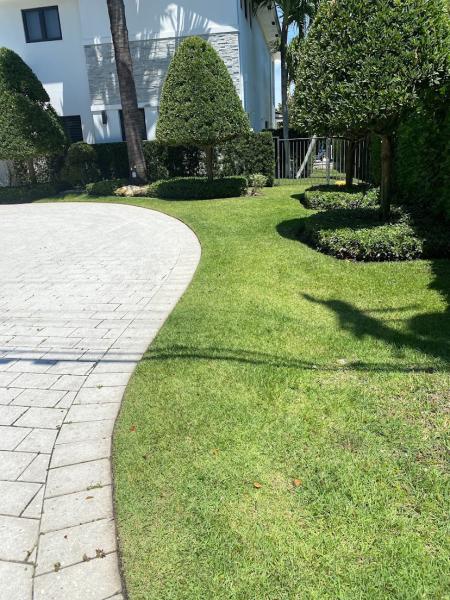 Lawn Care With Love