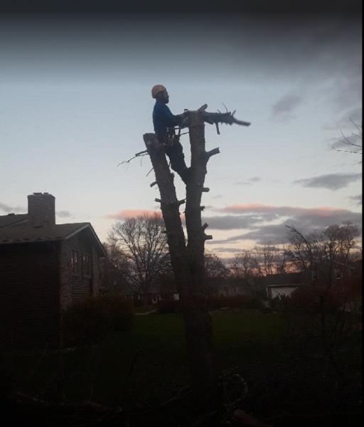 Gillis Lawn & Tree Care
