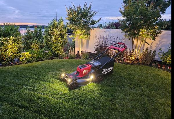 Dirt & Turf