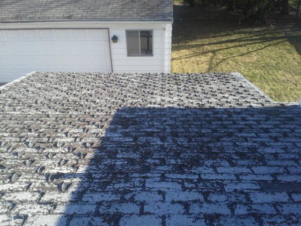 A Better Roof For Less