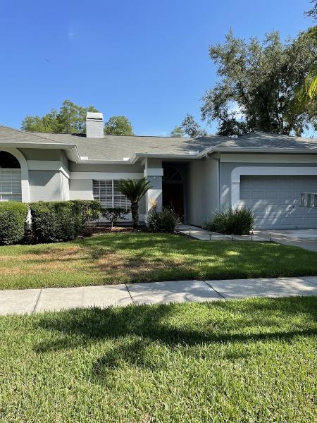 Apple Roof Cleaning Tampa Florida