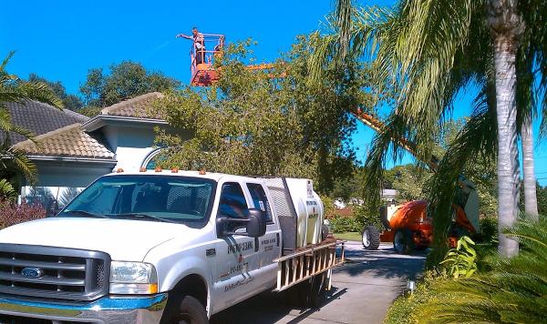 Apple Roof Cleaning Tampa Florida